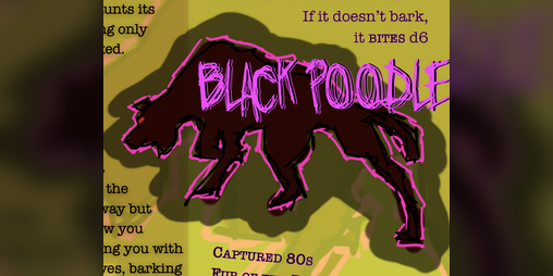 Cover image for Black Poodle