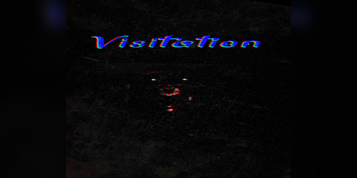 Cover image for Visitation