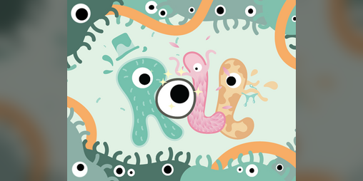 Cover image for ROLL : The Eyeventure