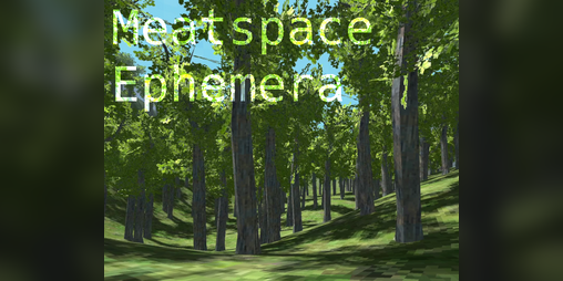 Cover image for Meatspace Ephemera