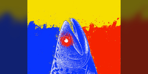Cover image for The Salmon of Knowledge