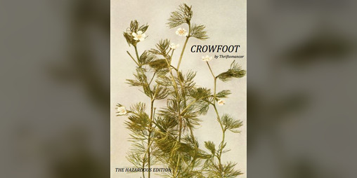 Cover image for Crowfoot