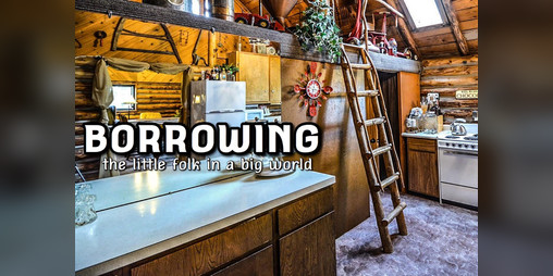 Cover image for Borrowing