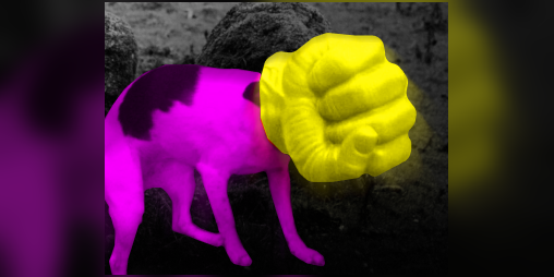 Cover image for Punishment Fist Dog of the Rotten Gods and other Monsters