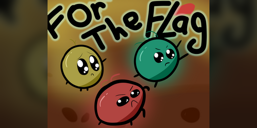 Cover image for For The Flag