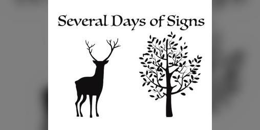 Cover image for Several Days of Signs