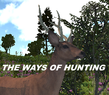 Cover image for The ways of hunting