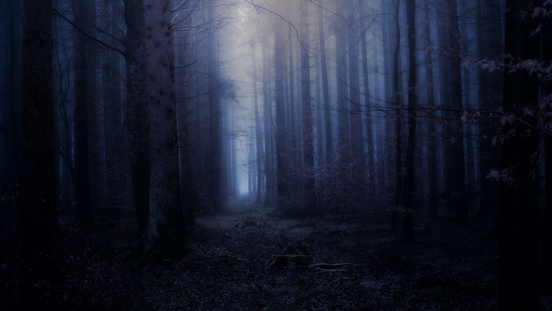 Light and Darkness