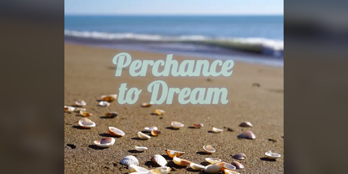 Cover image for Perchance to Dream