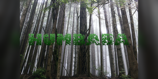 Cover image for Humbaba