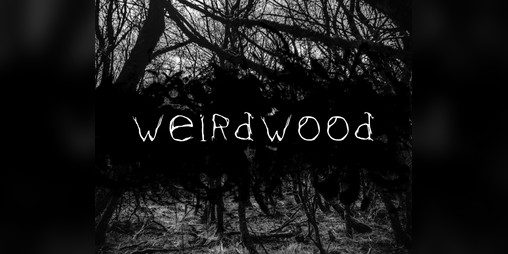 Cover image for Weirdwood