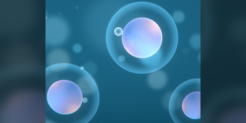 Cover image for Gravitum