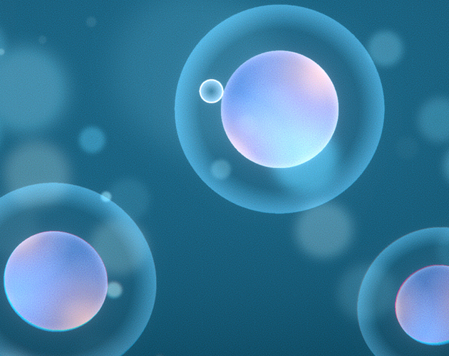 Cover image for Gravitum