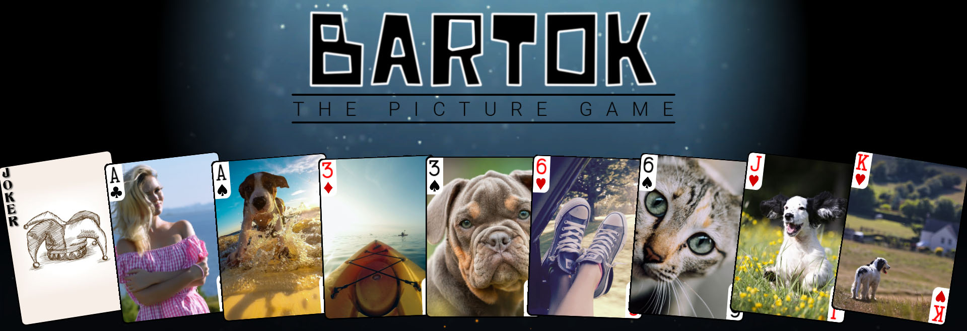 Bartok The Picture Game Free