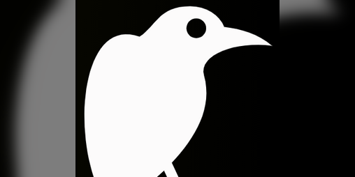 Cover image for Magpies