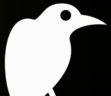 Cover image for Magpies
