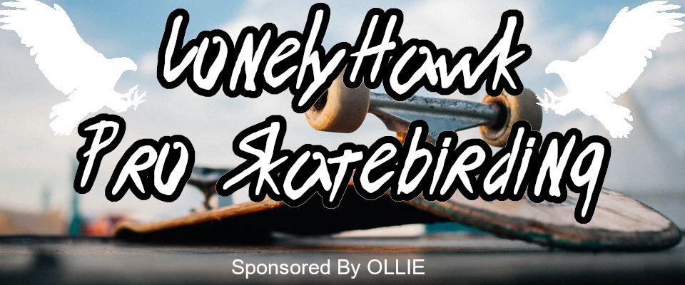 Lonely Hawk Pro-Skatebirding