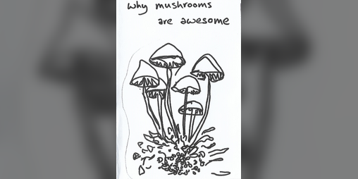 Cover image for why mushrooms are awesome