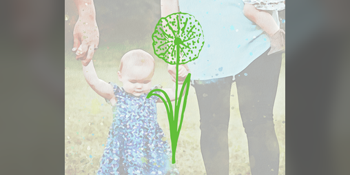 Cover image for Blossoms