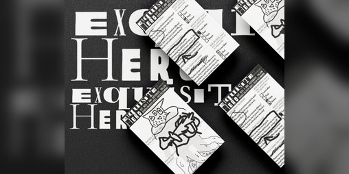 Cover image for Exquisite Hero