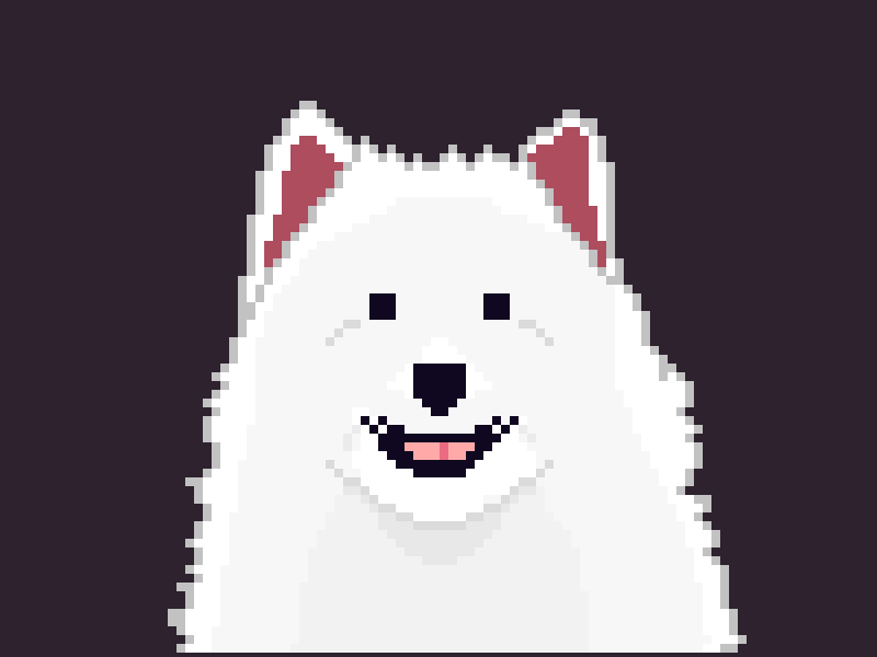 Cover image for Dogtrick