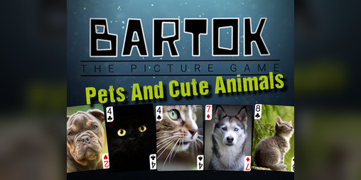 Cover image for Bartok - Pets And Cute Animals