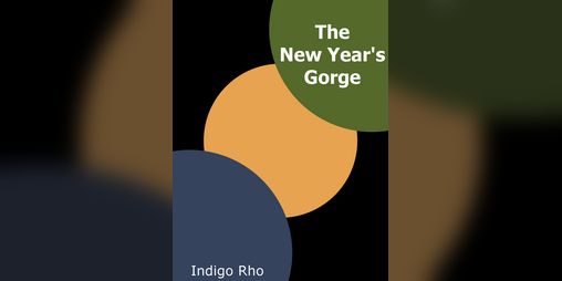Cover image for The New Year's Gorge