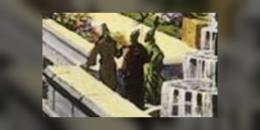 Cover image for Do you remember the garden?