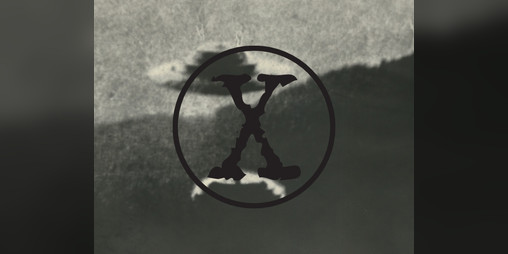 Cover image for X