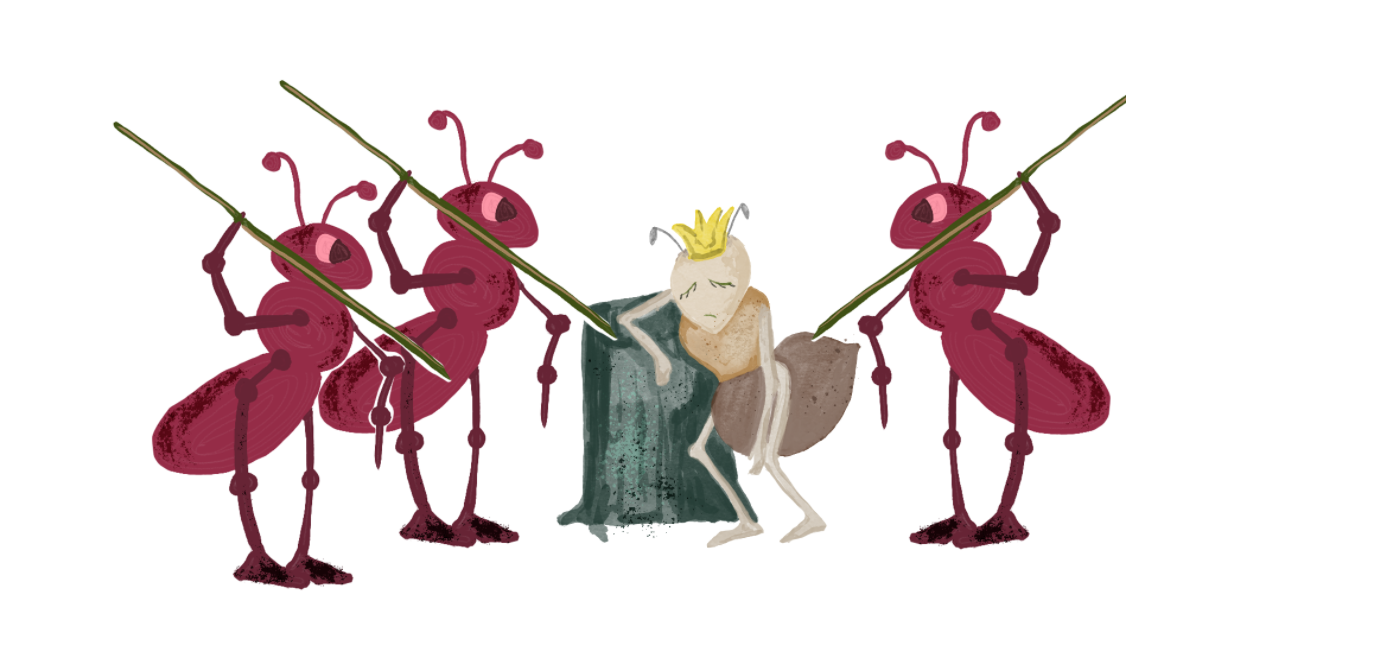 Ants - Text based game