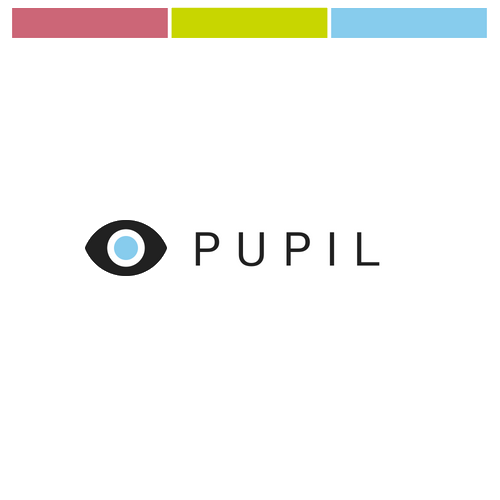 Pupil: Accessibility in VR