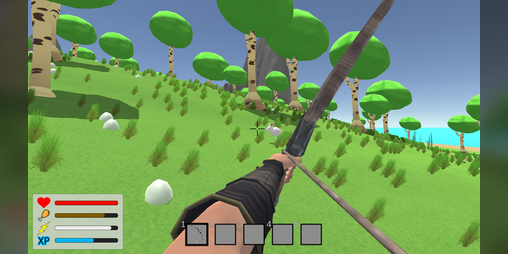 Cover image for Survival Game