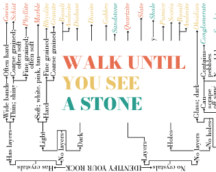 Cover image for Walk until you see a stone