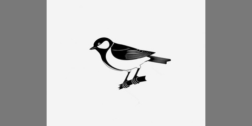 Cover image for Doctor Angus Mcdee's Collection of Birds