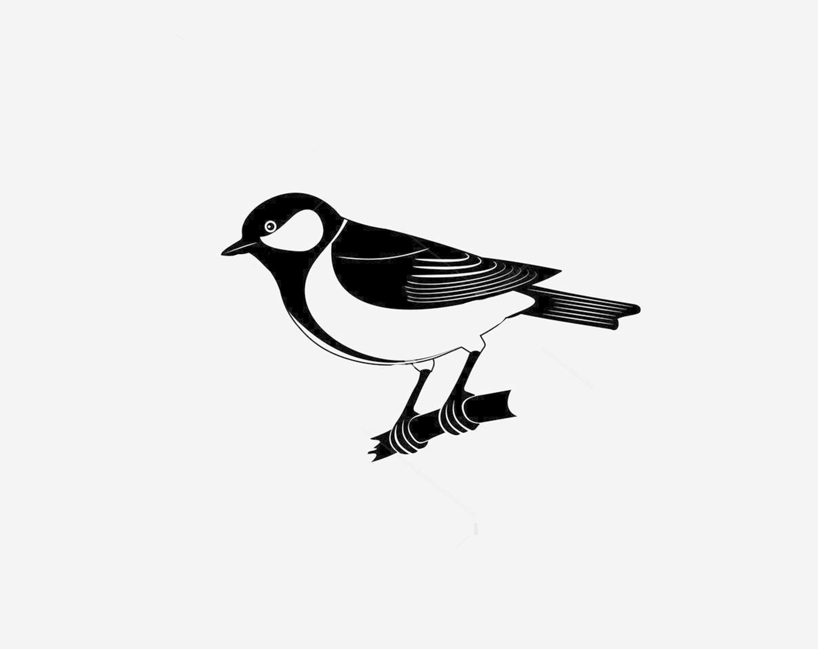 Cover image for Doctor Angus Mcdee's Collection of Birds