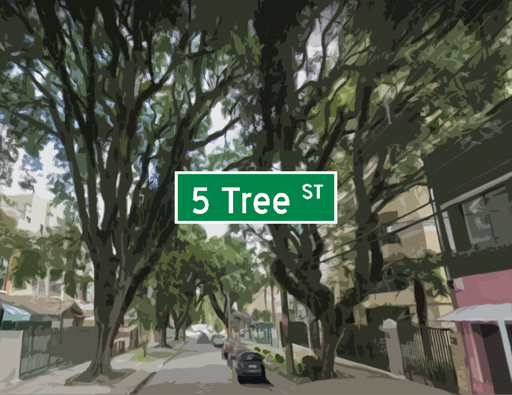 Cover image for 5 Tree St.