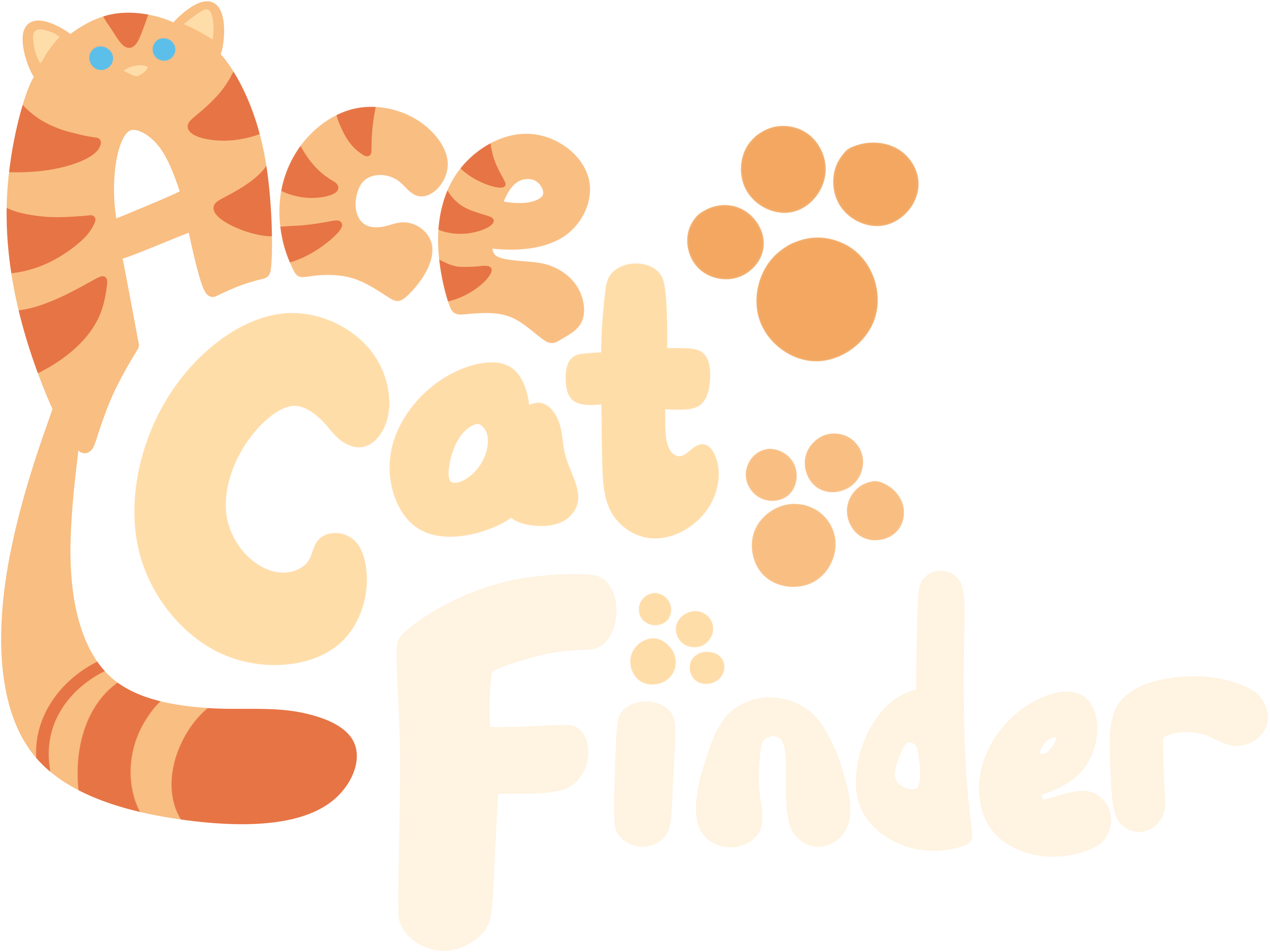 Cover image for Ace Cat Finder