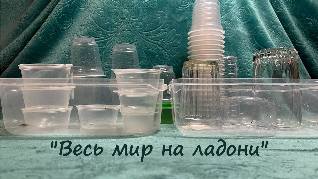 Cover image for Весь мир на ладони