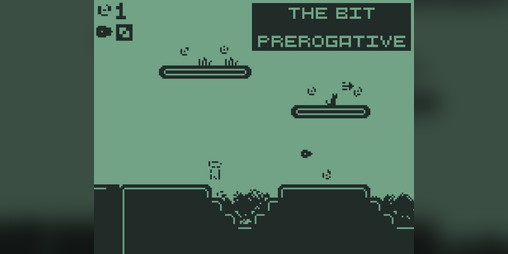 Cover image for The Bit Prerogative