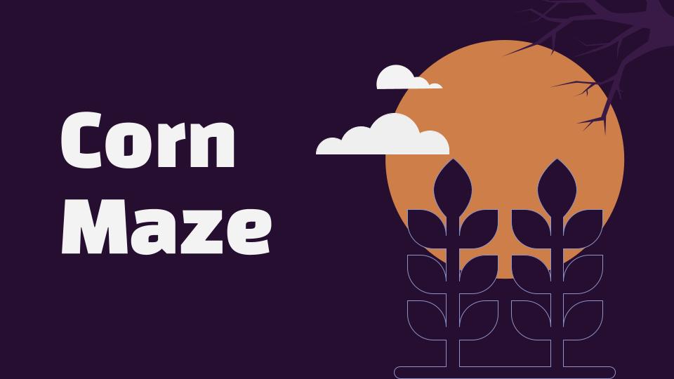 Cover image for CORN MAZE