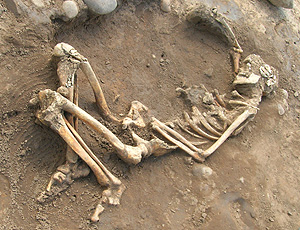 Cover image for Y ¿De dónde venimos?