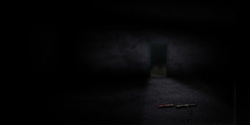 Cover image for Capiophobia