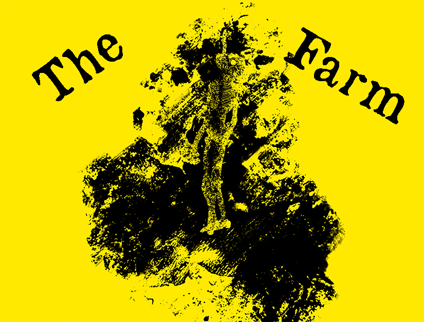 Cover image for The Farm