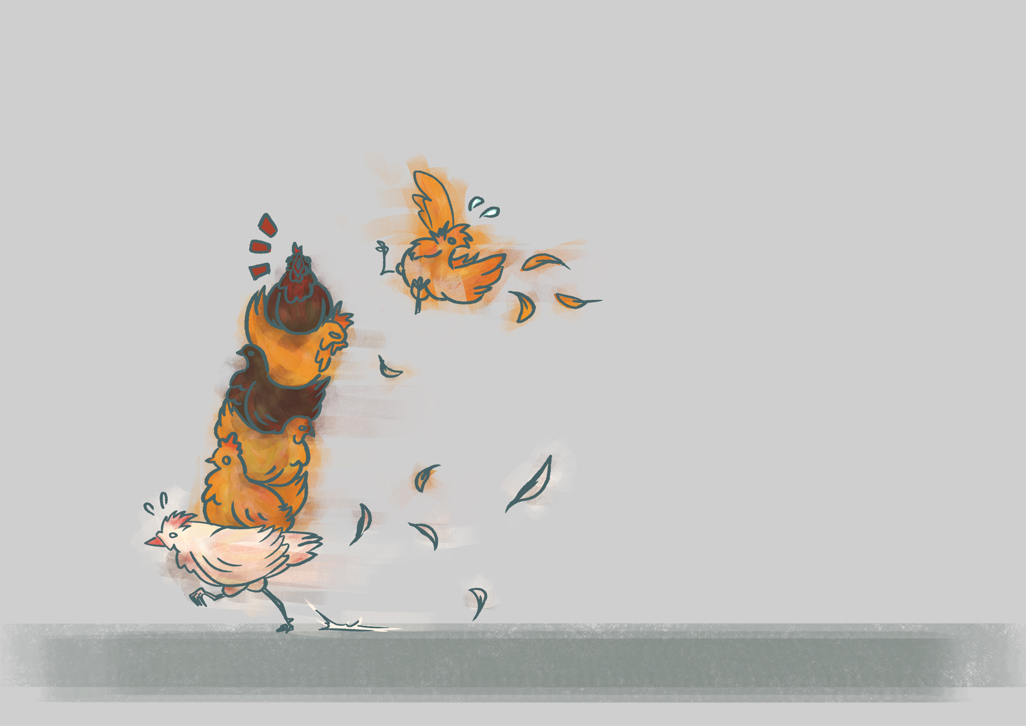 Poules et Pile