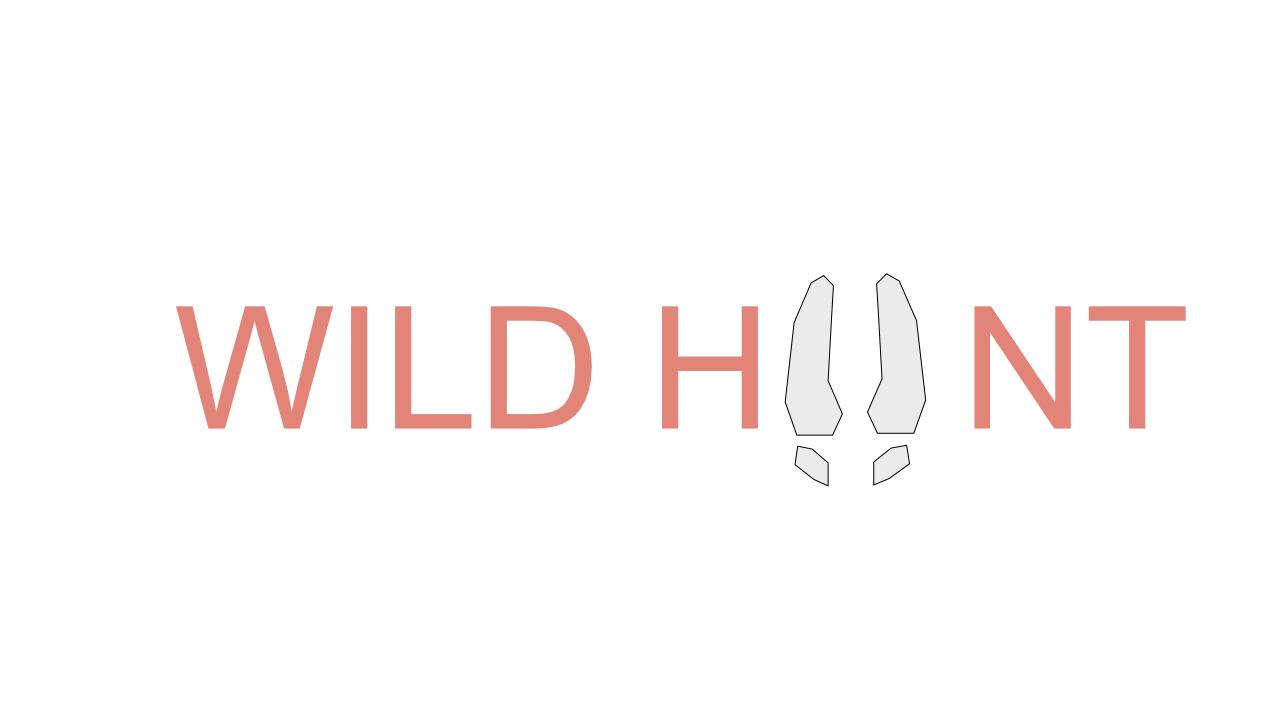 Wild Hunt