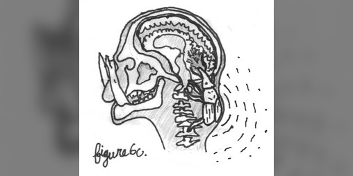 Cover image for The Parasitic BRAIN WEEVIL and other temporal anomalies