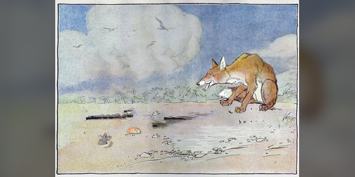 Cover image for Patte douce