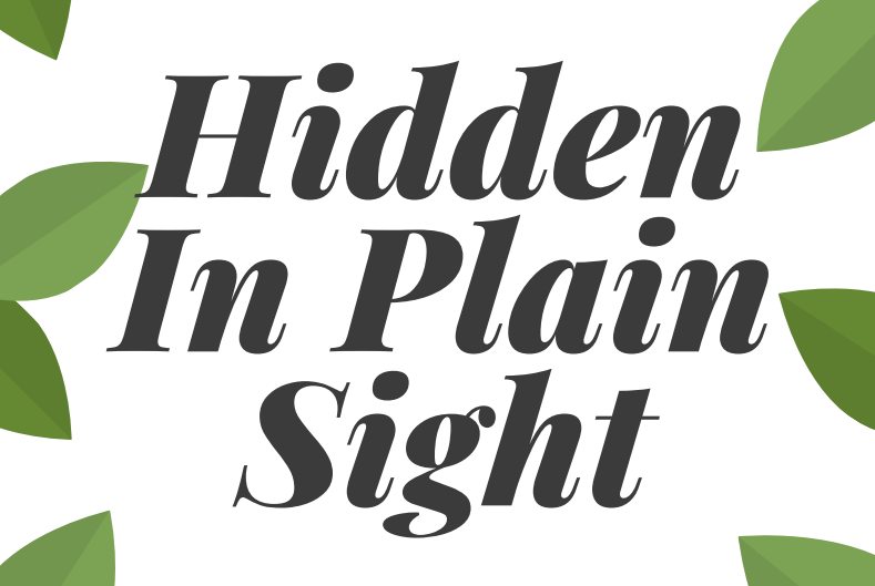 Hidden In Plain Sight by PurplePpleEtr