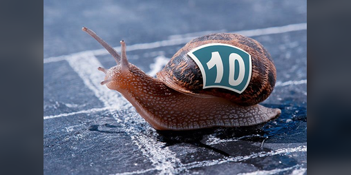 Cover image for Snail Race