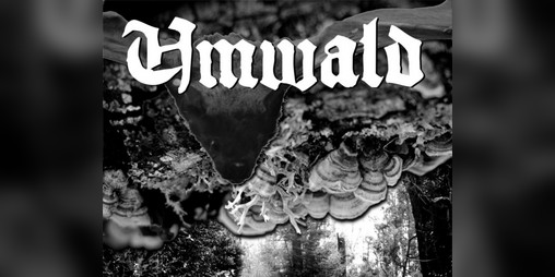Cover image for Umwald